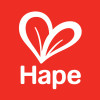 Hape Toys